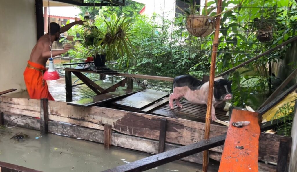 ស្ថានភាពទឹកជំនន់