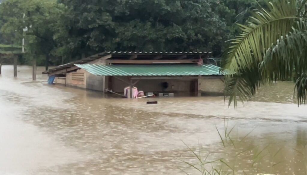 ប្រតិបត្តិការសង្គ្រោះ