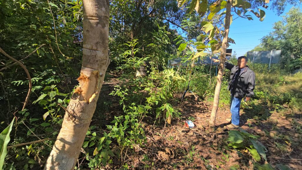 សន្តិសុខព្រំដែន