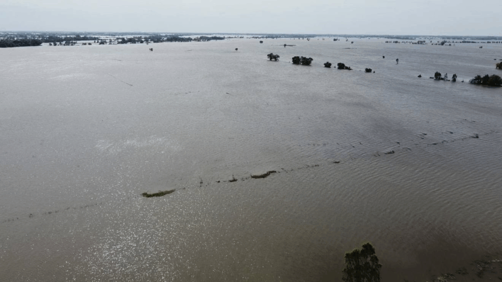 ទឹកជំនន់នៅអយុធ្យា