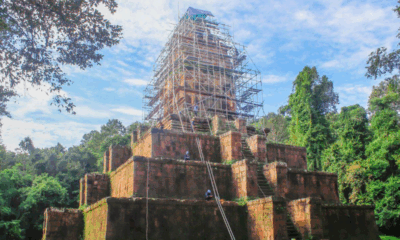 បក្សីចាំក្រុង