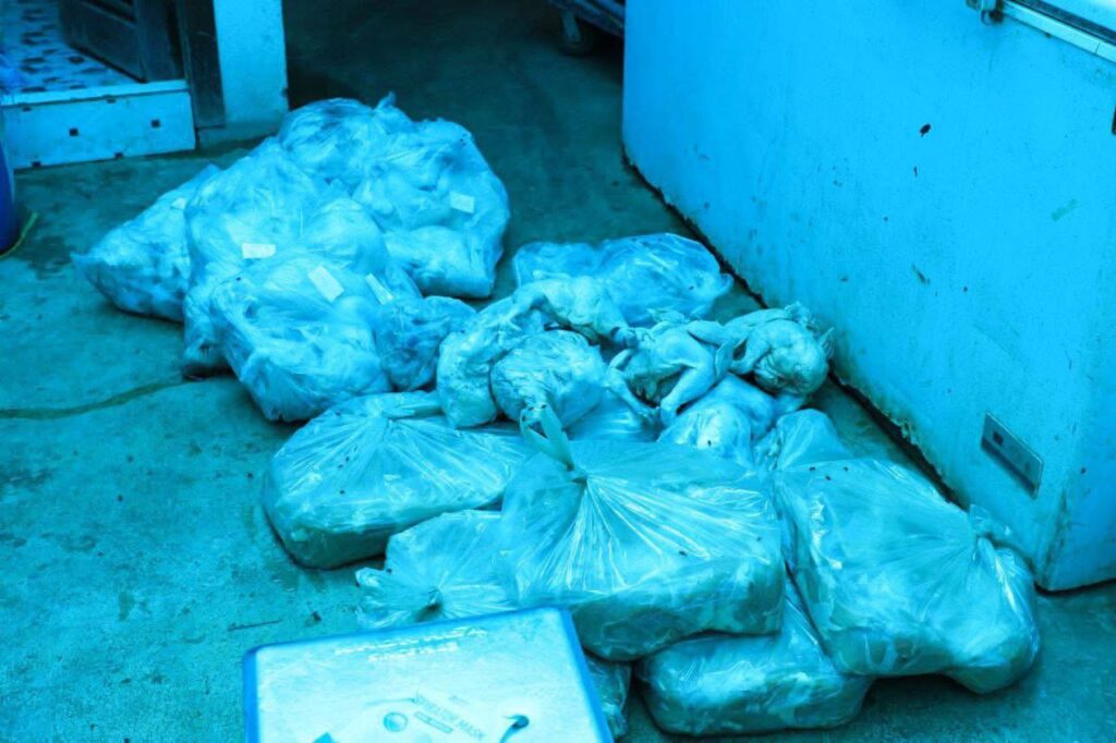 សាច់ខូចគុណភាព