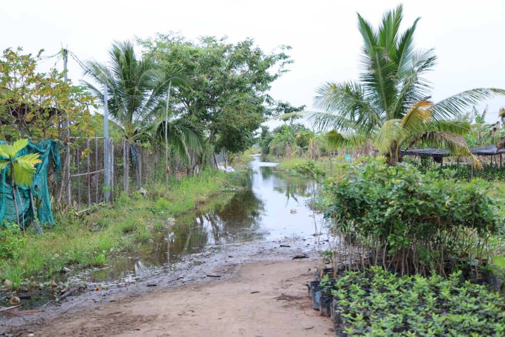 ការណែនាំពីអភិបាលខេត្ត