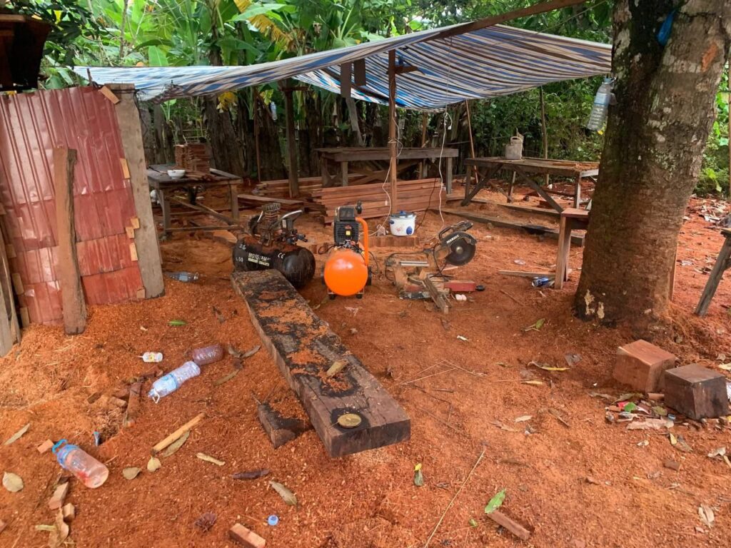 ឈើដែលត្រូវបានរកឃើញនៅទីតាំង