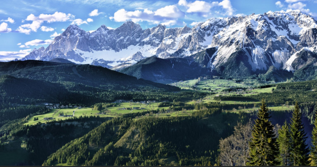 ផ្លូវដាយណូស័រនៅភ្នំអាល់ប៊ី