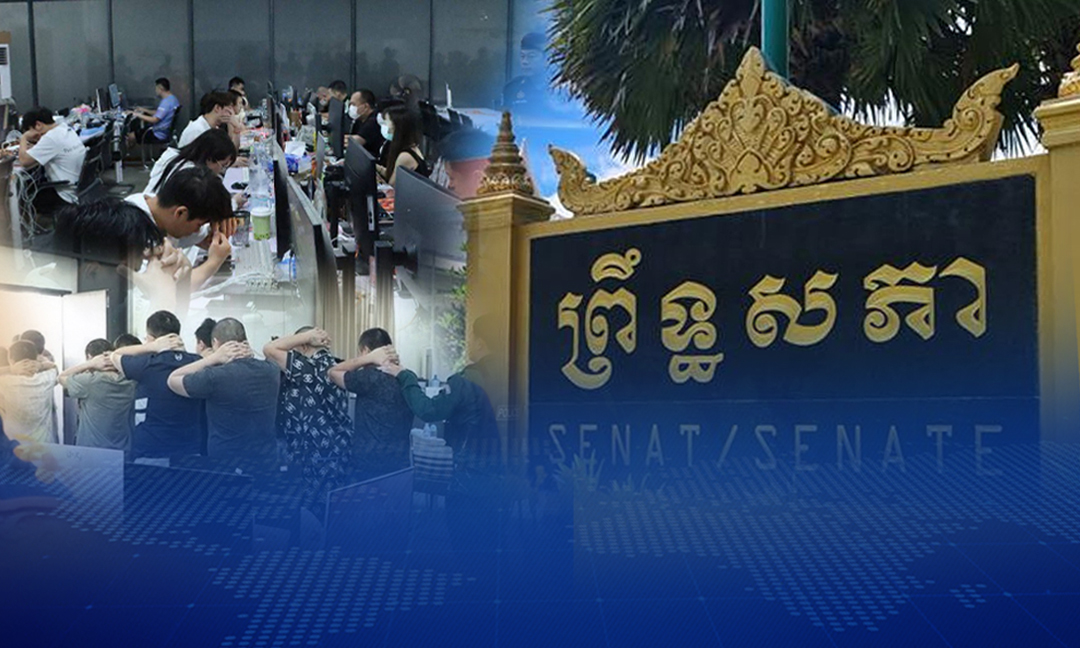 រសៀលនេះ ព្រឹទ្ធសភានឹងពិនិត្យលើសេចក្ដីព្រាងច្បាប់ Online Scam បន្ទាប់ពីរដ្ឋសភាអនុម័តម្សិលមិញ