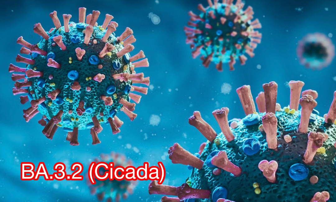 WHO រក​ឃើញ​មេរោគ​កូវីដ​-១៩​ បំប្លែង​ថ្មី​ ប្រភេទ​ BA.3.2 ខណៈកម្ពុជាមិនទាន់រកឃើញនៅឡើយទេ