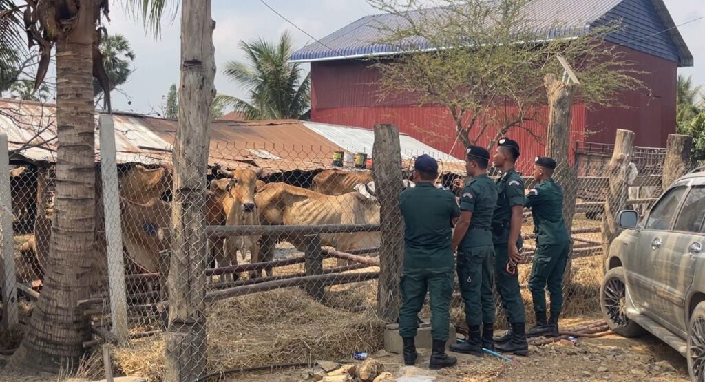 ការត្រួតពិនិត្យរថយន្ត