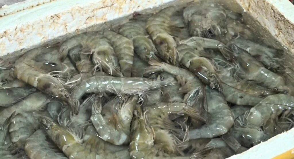 ការសម្របសម្រួលរវាងភាគី