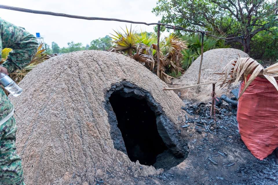 ឈើត្រូវរឹបអូស