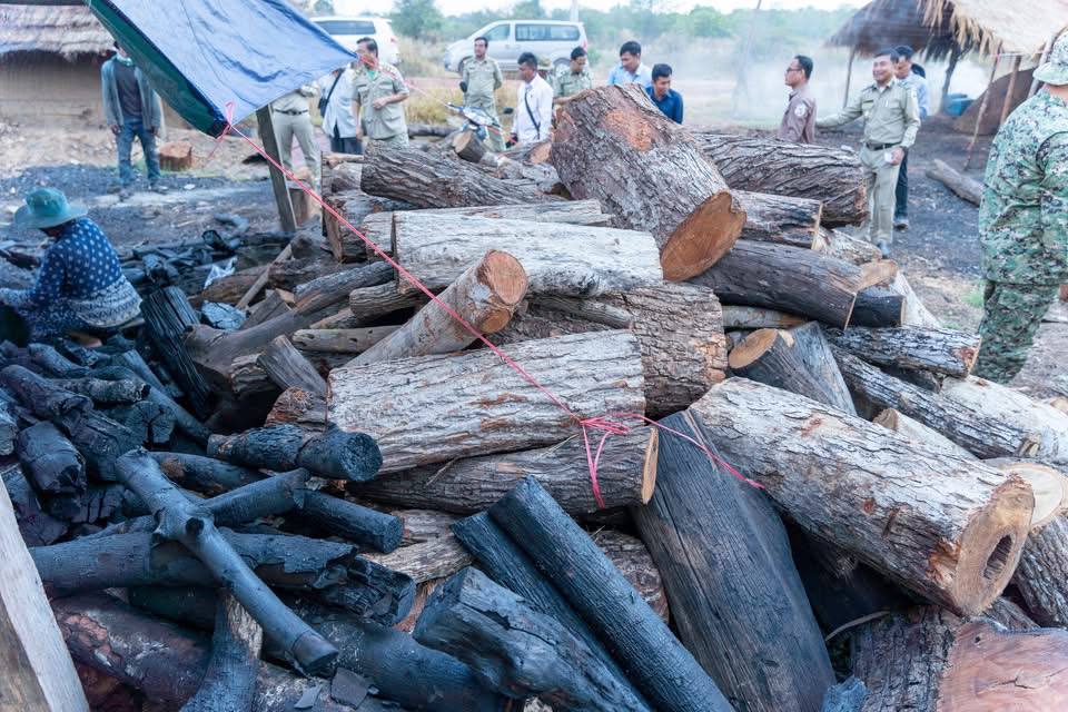 កម្លាំងចម្រុះកំពុងធ្វើការ