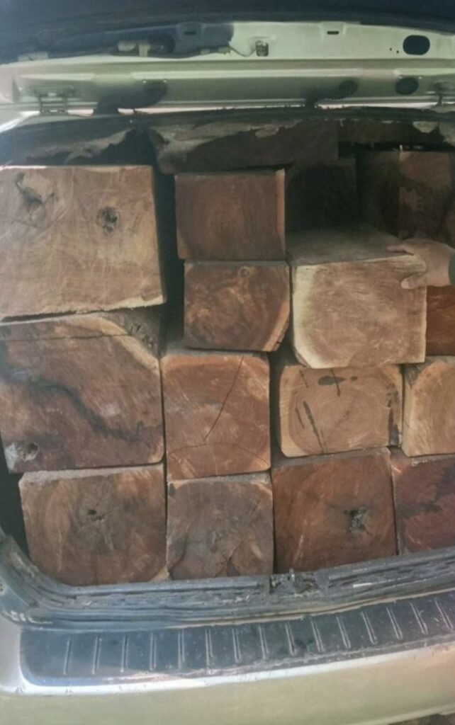 រថយន្តដឹកឈើខុសច្បាប់