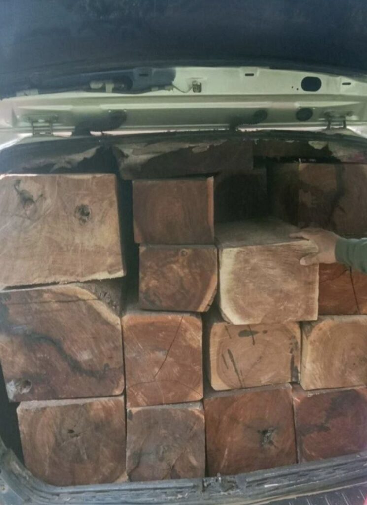 ការស្ទាក់ចាប់រថយន្ត