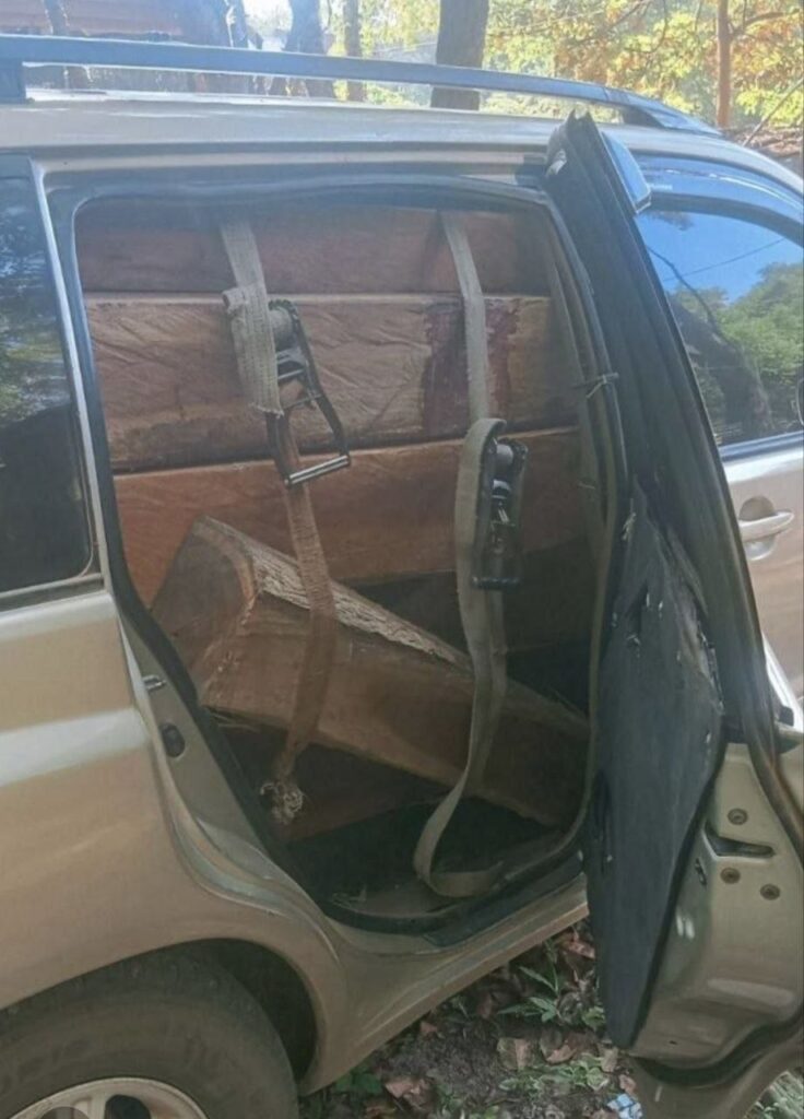 ឈើដែលត្រូវបានដកហូត