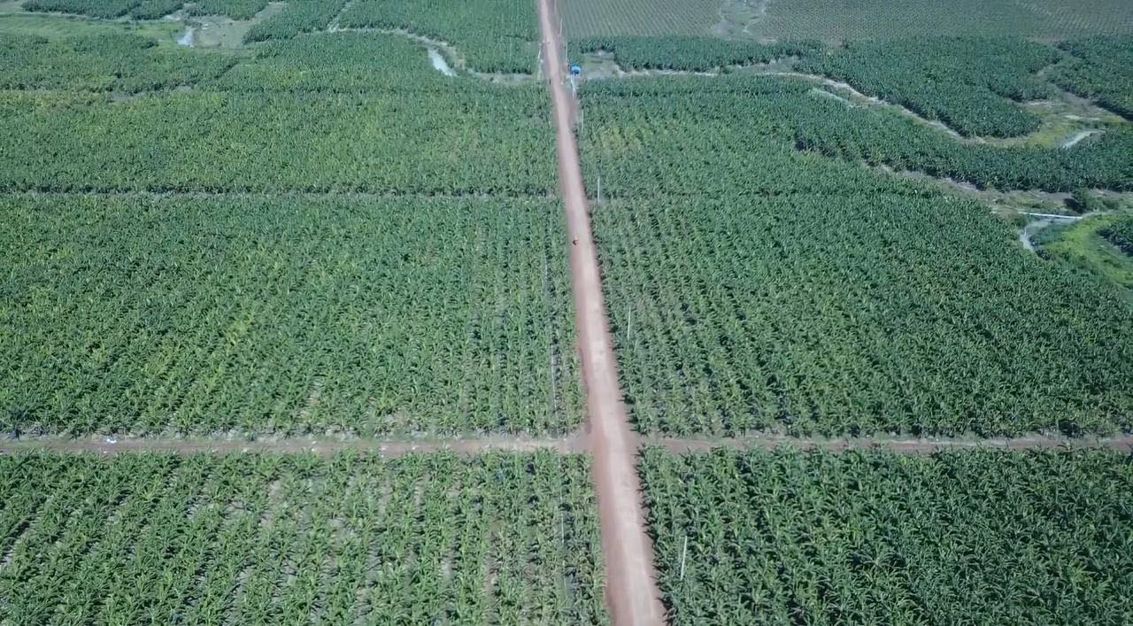 ​ដីសម្បទាន​សេដ្ឋកិច្ច​ទាំង ២៧ ក្នុង​ខេត្ត​រតនគិរី​ប្រឈម​ការ​ដកហូត​ បើ​​ក្រុមហ៊ុន​មិន​ពន្លឿនការអភិវឌ្ឍ​ន៍​