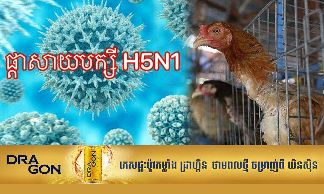 ក្រសួងសុខាភិបាល រកឃើញជំងឺផ្តាសាយបក្សីលើស្ត្រីម្នាក់អាយុ ៦៦ឆ្នាំ នៅខេត្តស្វាយរៀង