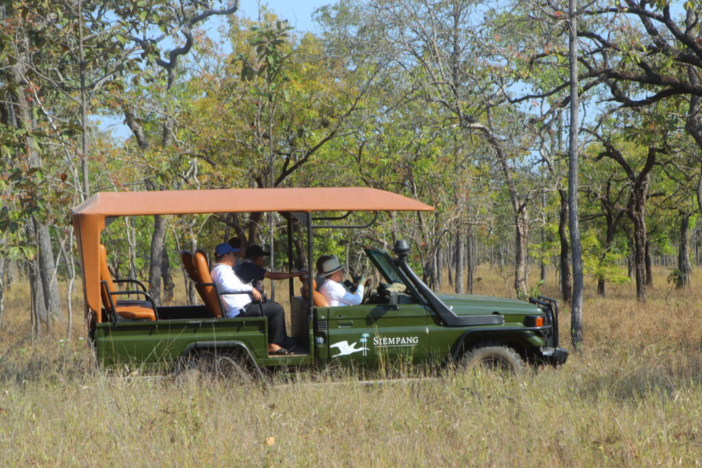 អេកូរីសតមួយកណ្ដាលព្រៃក្នុងដែនជម្រក​សត្វព្រៃ​សៀមប៉ាង នាំបទពិសោធន៍ទស្សនាសត្វព្រៃកម្របំផុត​លើពិភពលោក