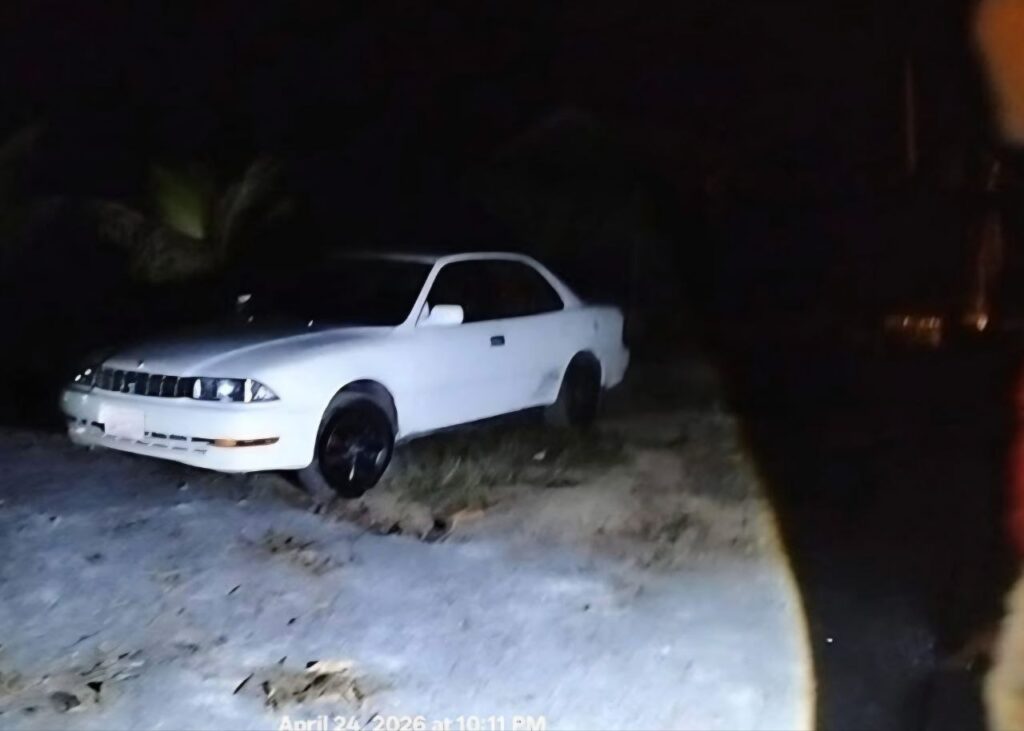 ការដុតកម្ទេចសាច់បង្កក