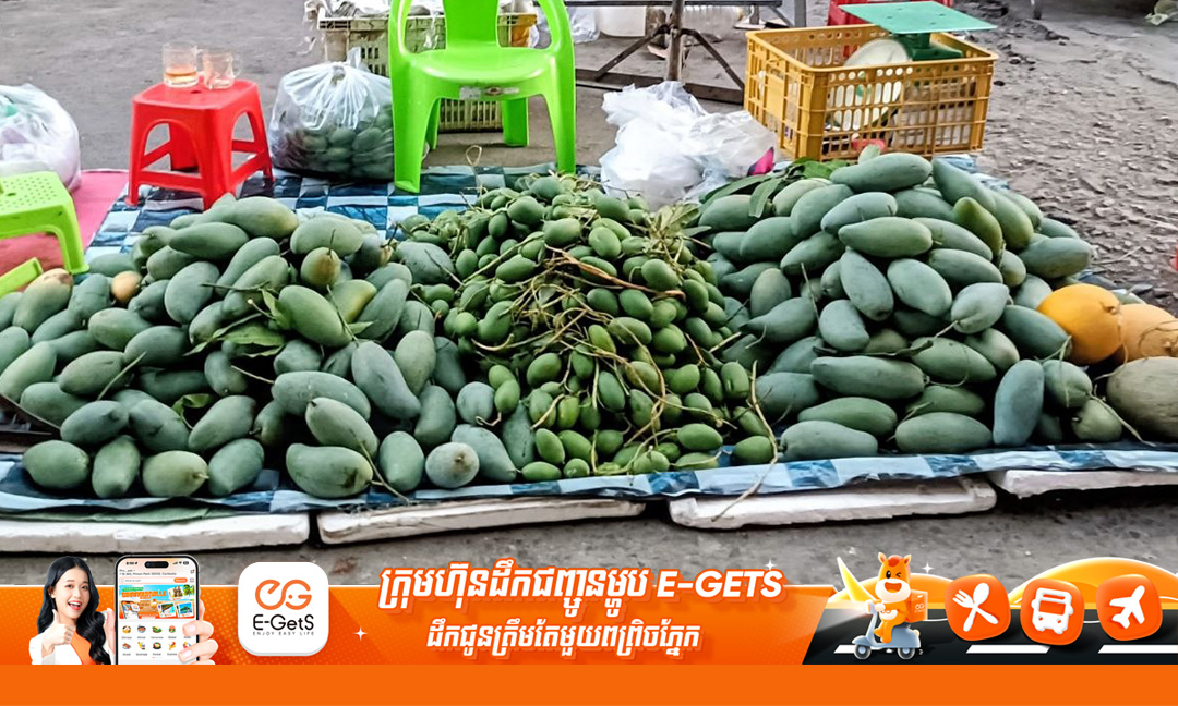 ស្វាយខ្ទិះខ្មែរ ស្ទើរដាច់ពូជហើយនាពេលបច្ចុប្បន្ន