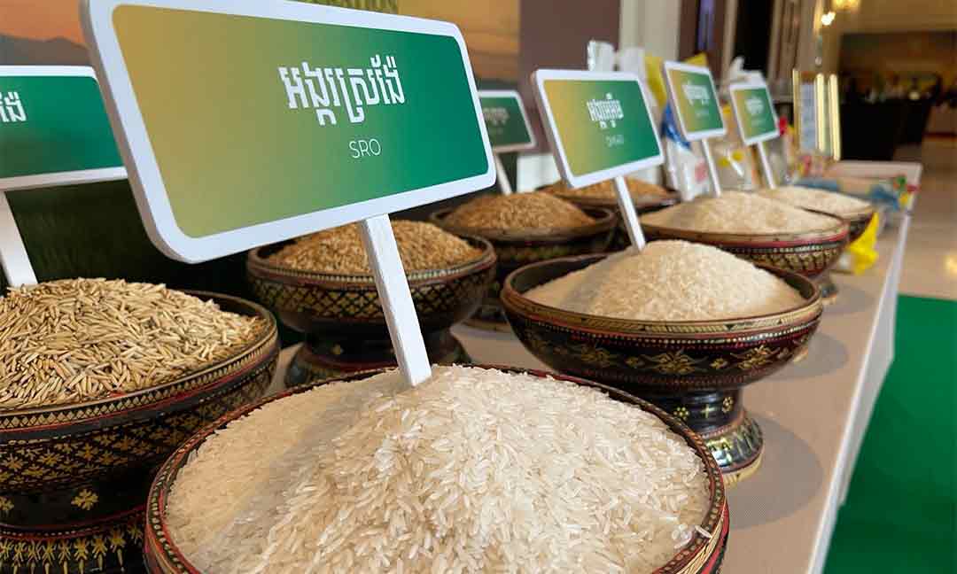 ​កម្ពុជា​រកចំណូល​បាន​ជាង ​២០០ ​លានដុល្លារ ​ពីការ​នាំចេញ​អង្ករ ​នាត្រីមាសទី១