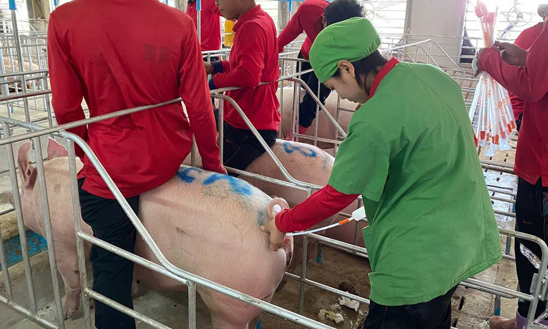 និស្សិត​ស្រី​មក​ពី​ខេត្ត​សៀមរាប​​ បន្ត​សិក្សា​ដល់ខេត្ត​ព្រះសីហនុ សិក្សា​ជំនាញ​វេជ្ជសាស្ត្រ​សត្វ អនាគត​ចង់​បើក​កសិដ្ឋាន​ចិញ្ចឹម​សត្វ