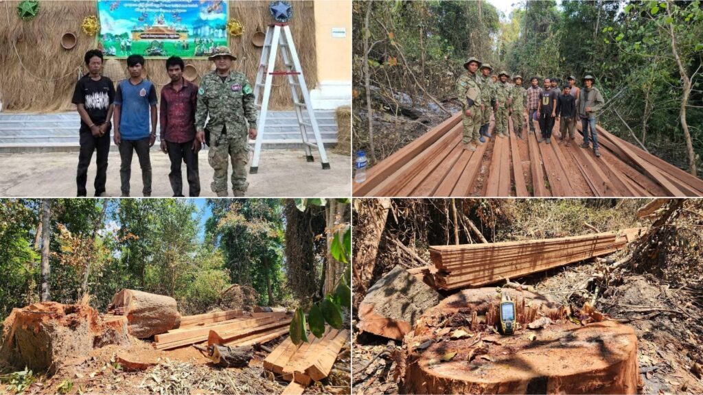 សមត្ថកិច្ចឃុំខ្លួនជនសង្ស័យ៣នាក់ ករណីកាប់ឈើខុសច្បាប់ ក្រោយសហគមន៍ជនជាតិដើមភាគតិចកួយរាយការណ៍