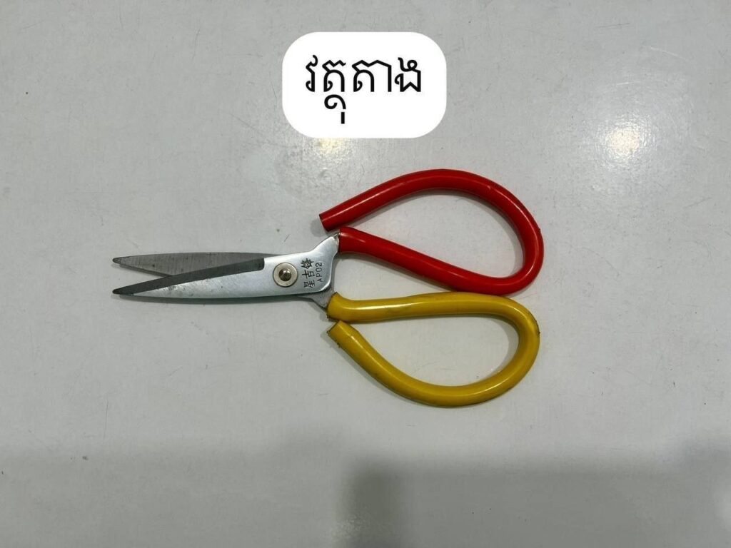 ជនសង្ស័យ