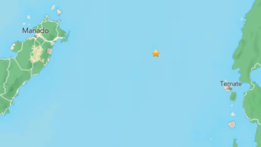 រញ្ជួយដីឥណ្ឌូណេស៊ី