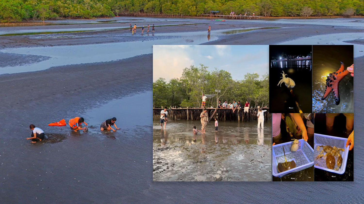 មិនបាច់ទៅឆ្ងាយ! ត្រឹមប៉ុន្មាននាទីពីឆ្នេរក្រុងកែប ក៏អាចចាប់សត្វសមុទ្របានយ៉ាងសប្បាយ