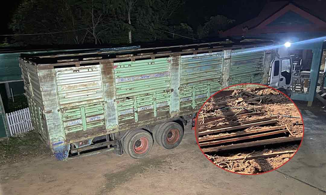 កម្លាំងរដ្ឋបាលព្រៃឈើរវៀង បង្ក្រាបរថយន្តដឹកគោ ១ គ្រឿង បន្លំដាក់ឈើខាងក្រោម