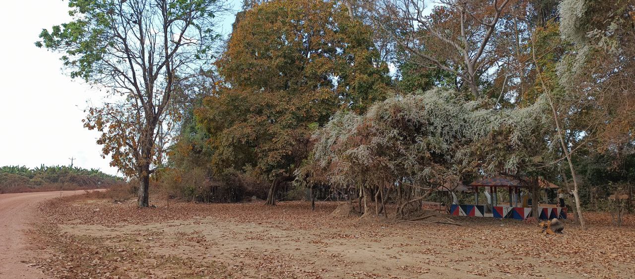 ទីតាំង​កប់​សព​សហគមន៍​ជនជាតិ​ដើម​ភាគតិច​ក្លាយ​ជា​ទីតាំង​ទាក់ទាញ​ទេសចរ​នៅ​ខេត្ត​ភាគ​ឦសាន