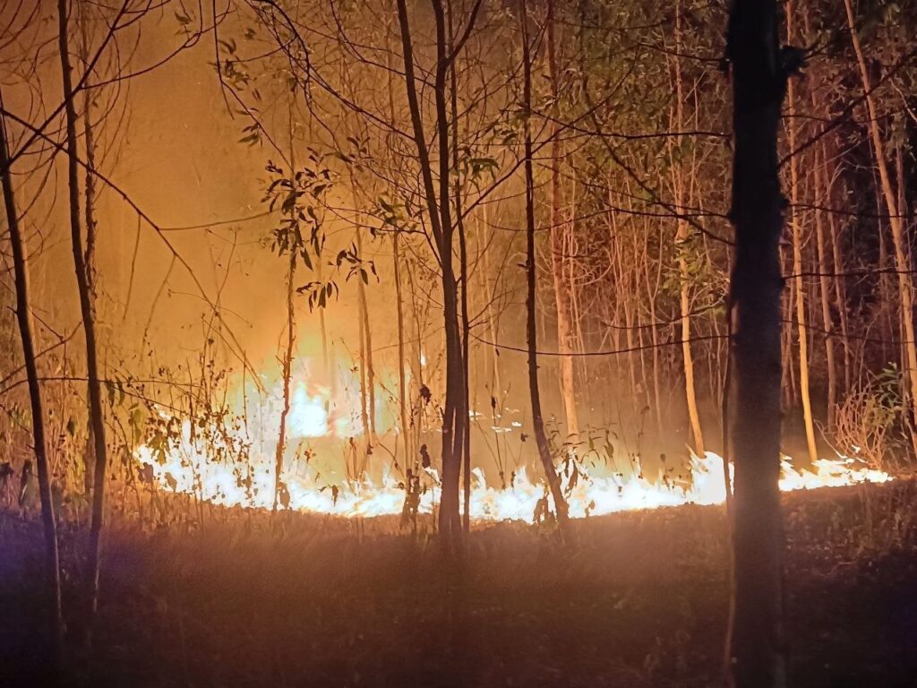 អគ្គិភ័យឆេះព្រៃ