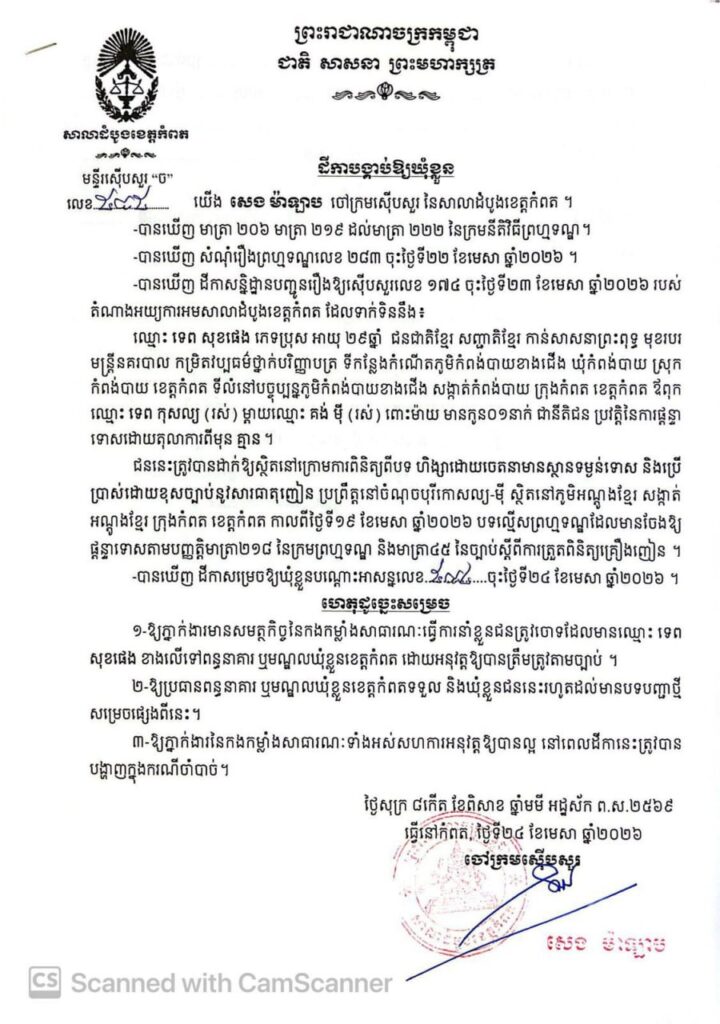 ដីកាតុលាការ