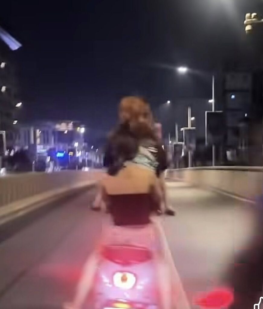 ជនសង្ស័យ