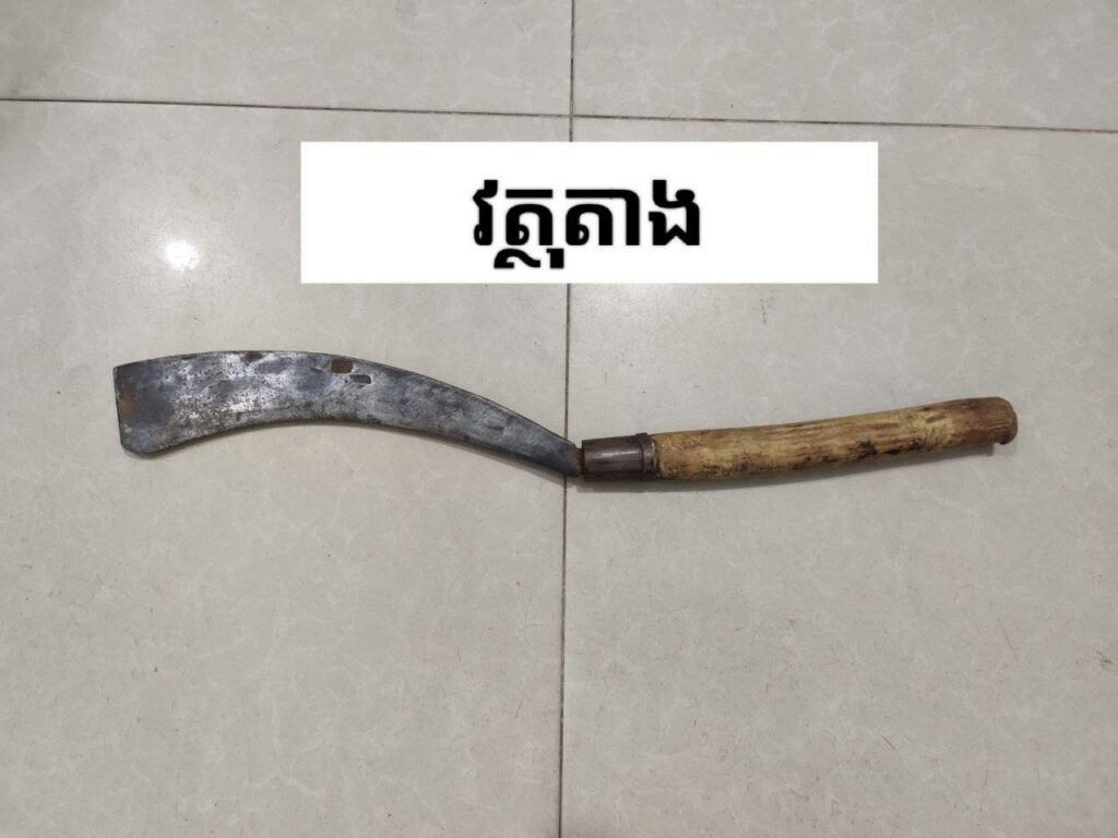 រូបភាពសមត្ថកិច្ច