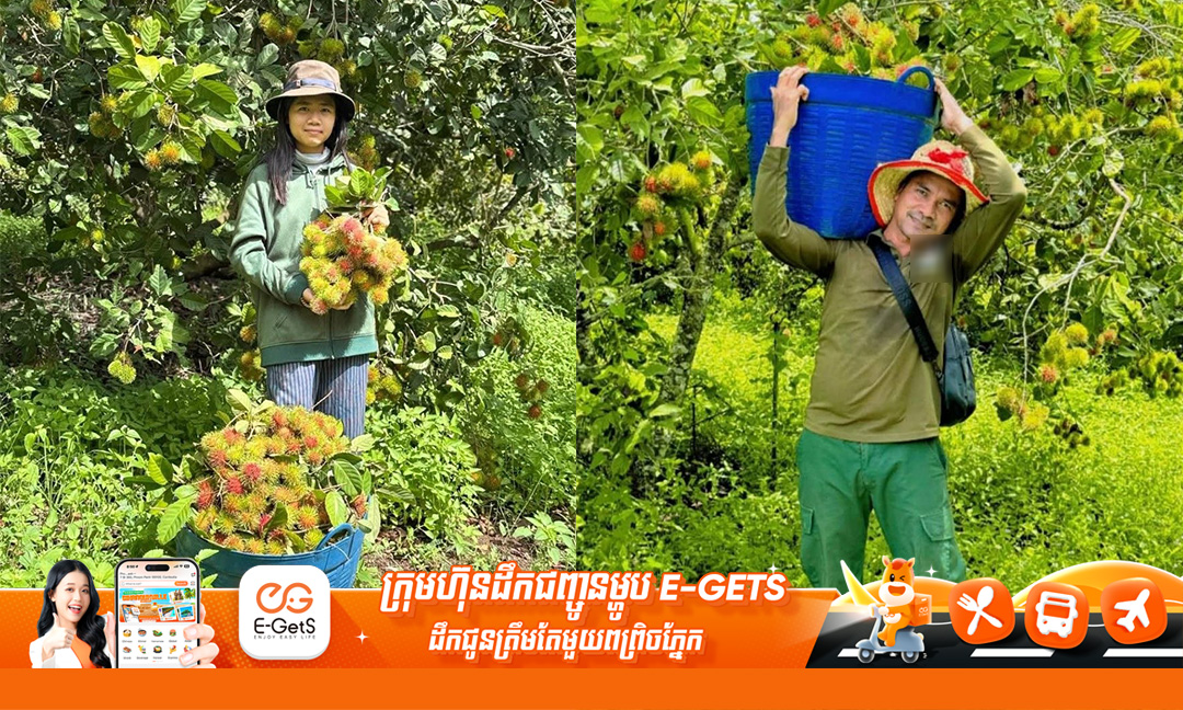 ផ្លែសាវម៉ាវសំឡូត នារដូវដើមដៃលក់បានតម្លៃខ្ពស់នៅលើទីផ្សារ