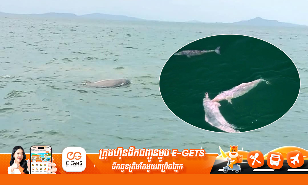 គ្រួសារសត្វផ្សោតឃ្លាច ត្រូវបានប្រទះឃើញនៅក្នុងសហគមន៍នេសាទព្រែកត្នោតស្ថិតក្នុងសង្កាត់ព្រែកត្នោត ក្រុងបូកគោ