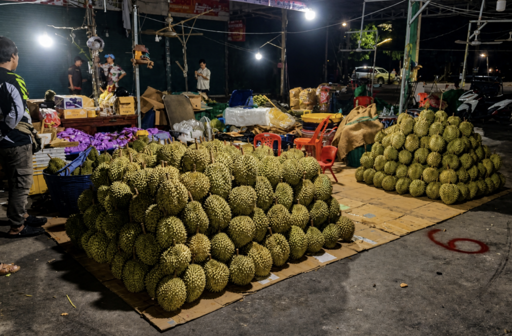 មន្ត្រីកំពុងត្រួតពិនិត្យទុរេន