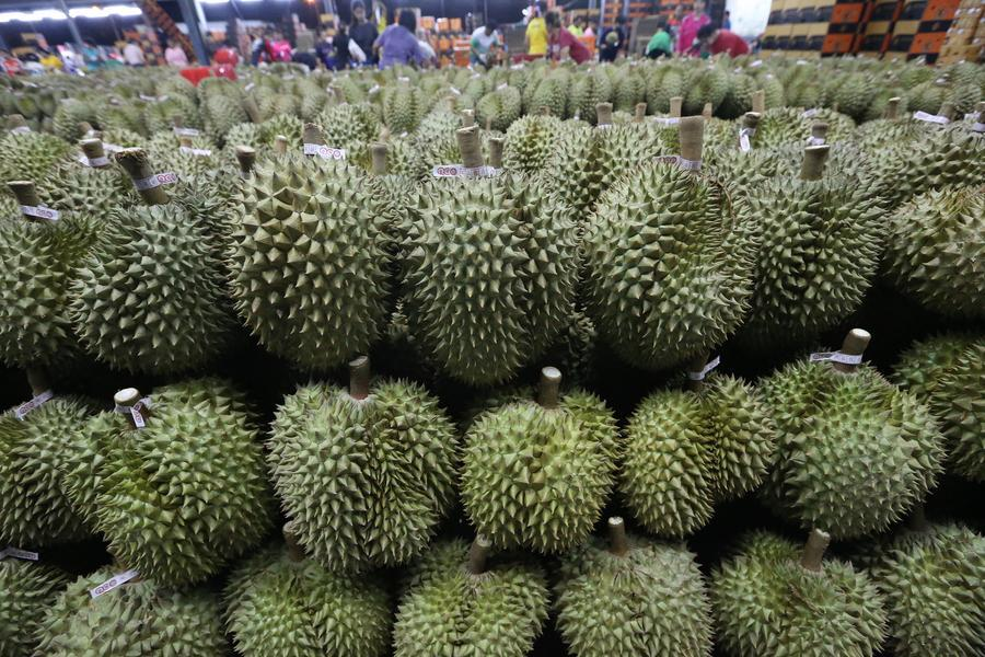 ទុរេន
