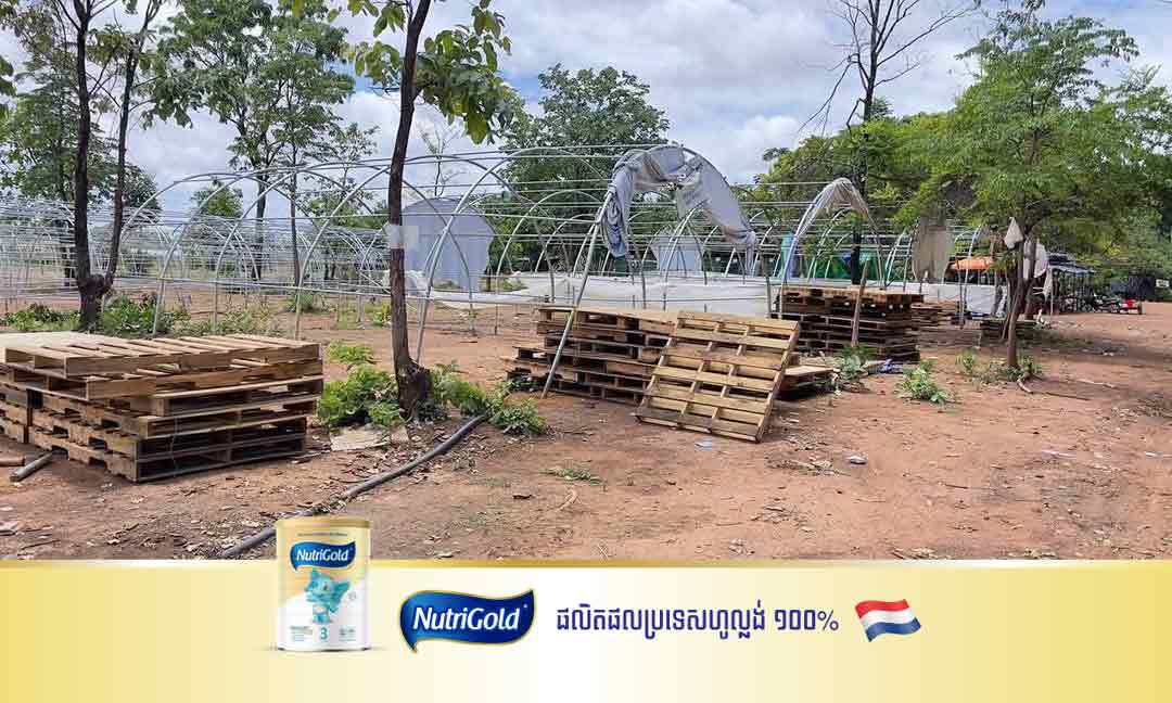 ការិយាល័យអប់រំក្រុងសំរោង រៀបចំថ្នាក់រៀនបណ្ដោះអាសន្ន ដើម្បីធានាថា «កុមារគ្រប់រូបនៅតែទទួលបានការសិក្សា» ទោះស្ថិតក្នុងស្ថានភាពអាសន្ន
