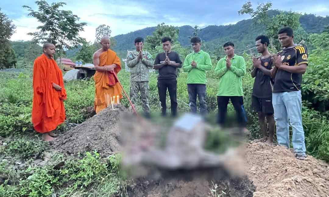 មន្ទីរបរិស្ថានខេត្តពោធិ៍សាត់ ថ្កោលទោសក្រុមបុគ្គលអគតិព្រួតដៃគ្នាវាយសត្វប្រើសញីមានផ្ទៃពោះ ១ ក្បាល ជិតផុតពូជ ស្លាប់ក្នុងចម្ការដំឡូងមី