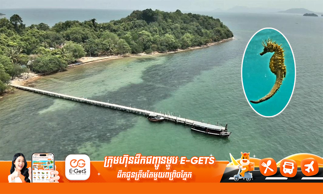 វត្តមានត្រីសេះសមុទ្រជាច្រើននៅខេត្តកែបបញ្ជាក់​ពីភាពល្អប្រសើរឡើងវិញនៃប្រព័ន្ធអេកូឡូស៊ី