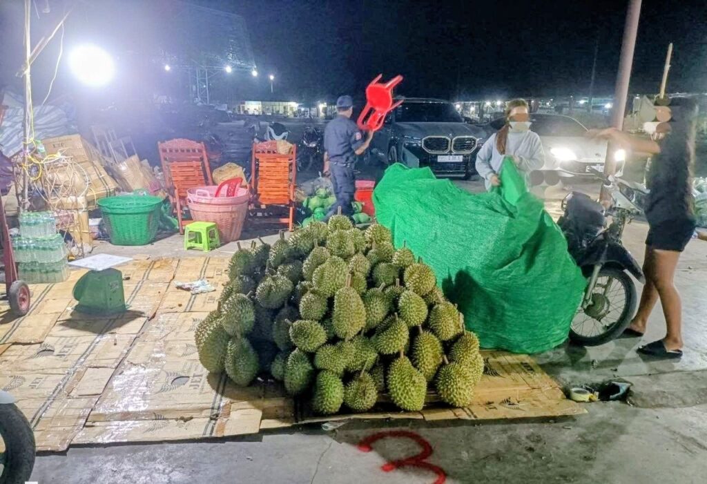 ទុរេនត្រៀមលក់ក្នុងផ្សារ