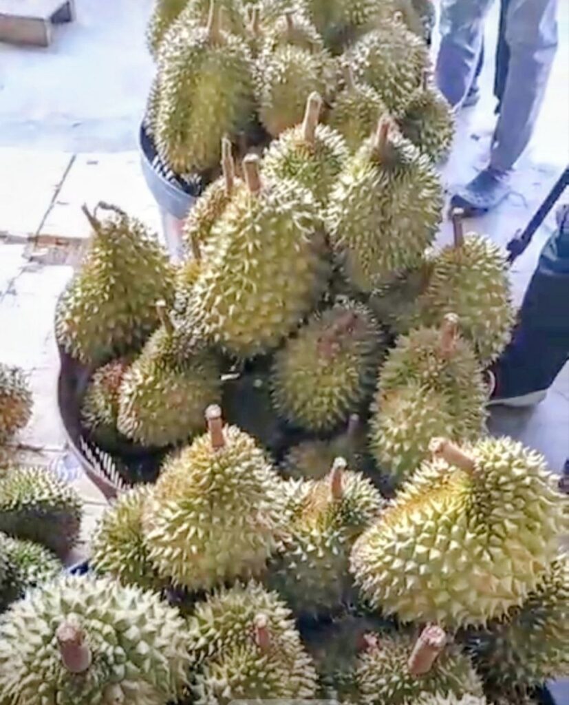 ទុរេននៅផ្សារភូពុយ
