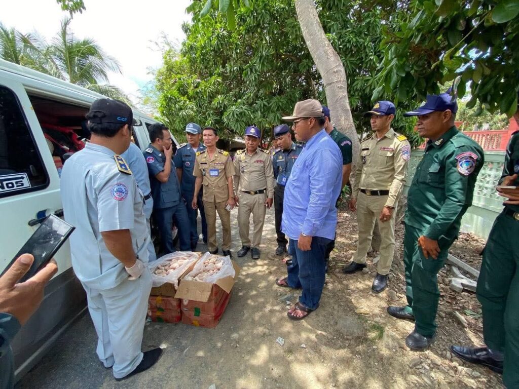 អាជ្ញាធរស្រុកអង្គរបូរី ស្ទាក់ចាប់សាច់បង្កកនាំចូលខុសច្បាប់ជាង៣តោន និងដុតកម្ទេចចោលភ្លាមៗ