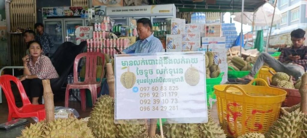 មន្ត្រី ក ប ប ខេត្តកំពត ចុះពិនិត្យទីតាំង​នាំចូលទុរេនមួយកន្លែងក្នុងសង្កាត់កំពង់បាយ​ដែលសង្ស័យថា មានផ្ទុកសារធាតុគីមី